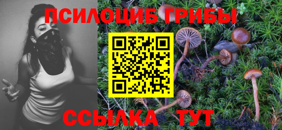 Псилоцибиновые грибы прущие грибы  Псилоцибиновые грибы прущие грибы  Куйбышев  Вход с VPN 